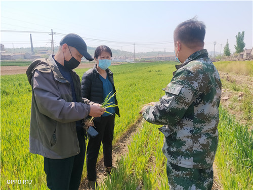 淄博久润富硒农产品(淄川久润富硒生态园有门票吗)-硒宝网