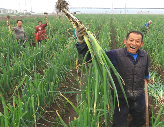 富硒农产品商标设计(富硒农产品标志)-硒宝网
