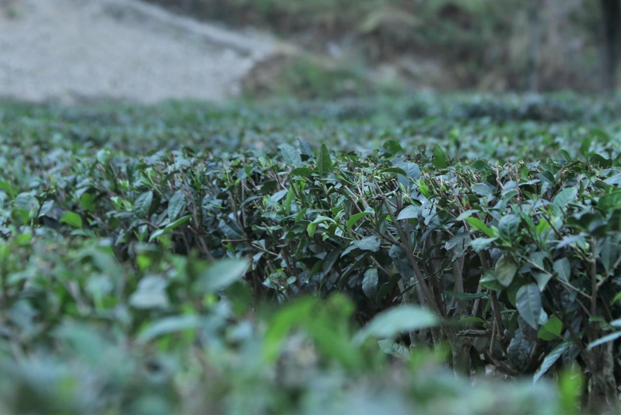 平利乡源富硒农产品(富硒农场是加盟的吗)-硒宝网