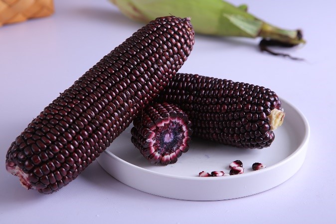 潮盛农科富硒农产品（潮盛农科富硒农产品）-硒宝网