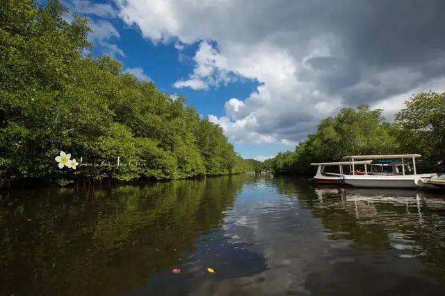 英山富硒产品价格表(富硒食品价格)-硒宝网