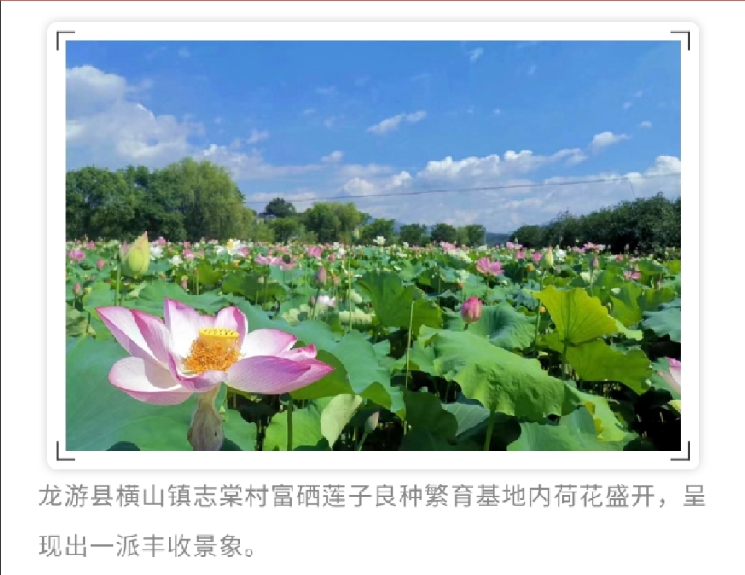 富硒农产品销售模式（富硒农产品销售平台）-硒宝网