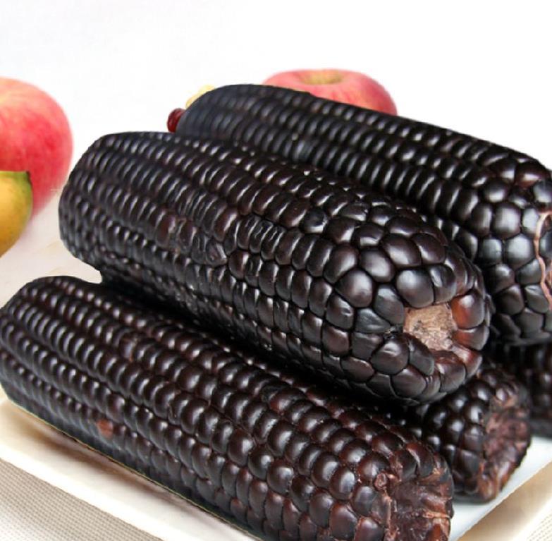 人体内的微量元素（人体内微量元素含量排序）-硒宝网