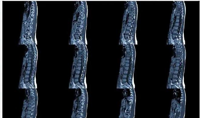 人体内的微量元素（人体内微量元素含量排序）-硒宝网