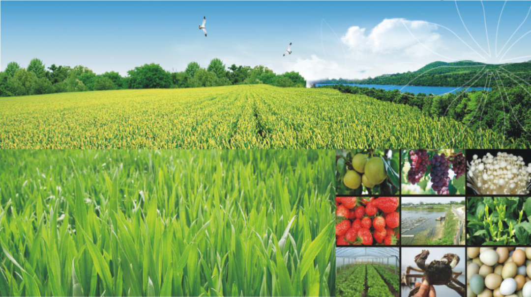 功能性农产品 富硒(富硒功能农业)-硒宝网