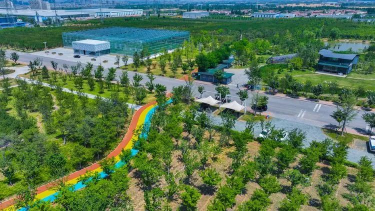 大同富硒农产品认证(山西大同农业基地主要种植什么)-硒宝网