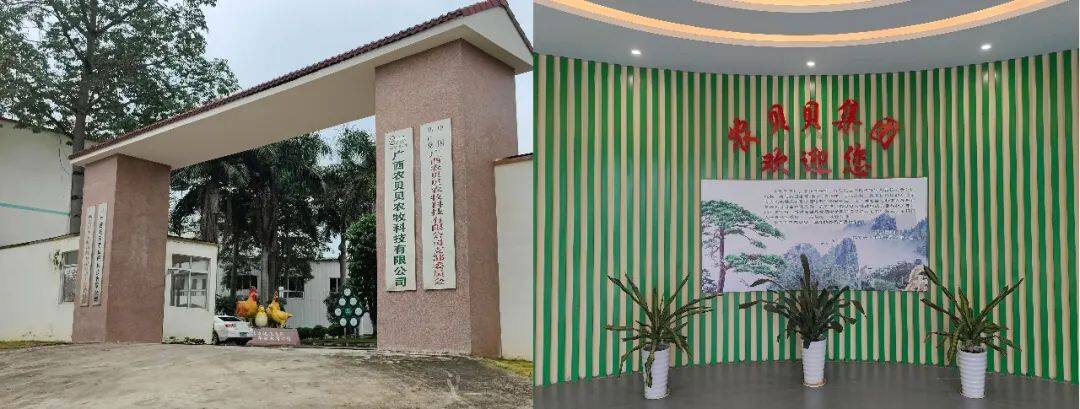 富硒系列产品深加工（加工系列富硒产品）-硒宝网