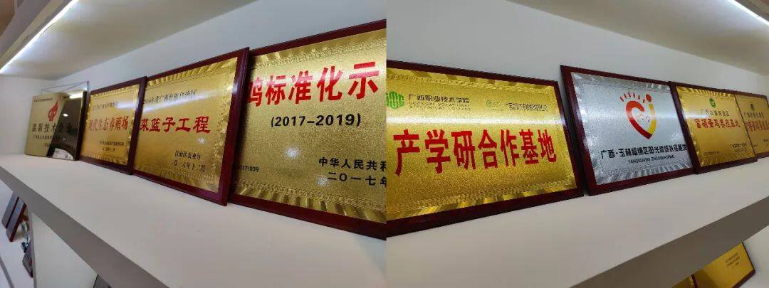 富硒系列产品深加工（加工系列富硒产品）-硒宝网