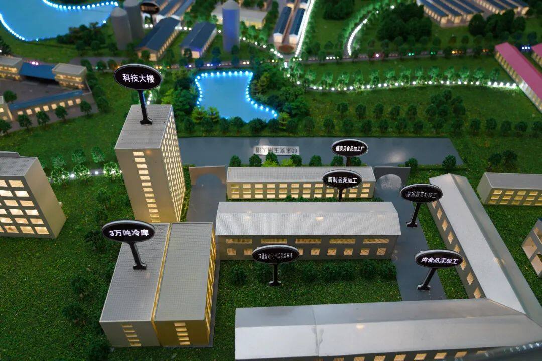 富硒系列产品深加工（加工系列富硒产品）-硒宝网