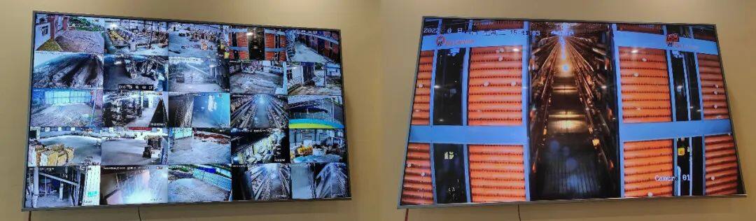 富硒系列产品深加工（加工系列富硒产品）-硒宝网