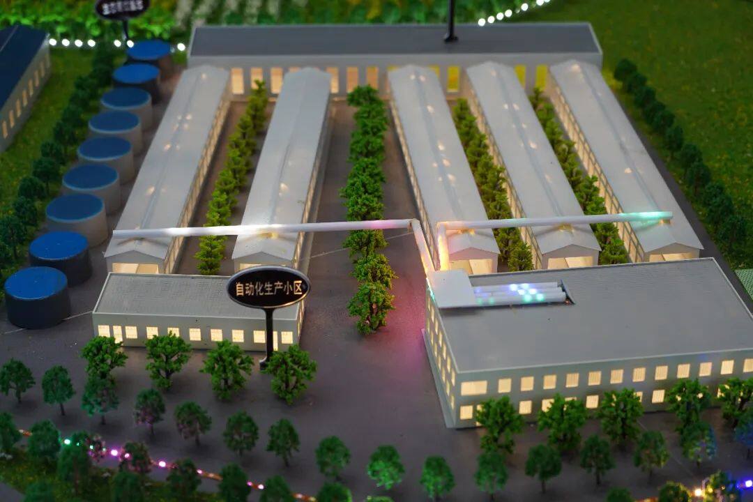 富硒系列产品深加工（加工系列富硒产品）-硒宝网