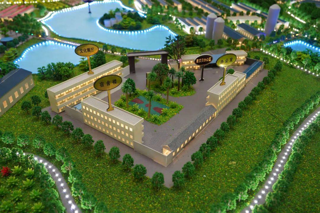 富硒系列产品深加工（加工系列富硒产品）-硒宝网