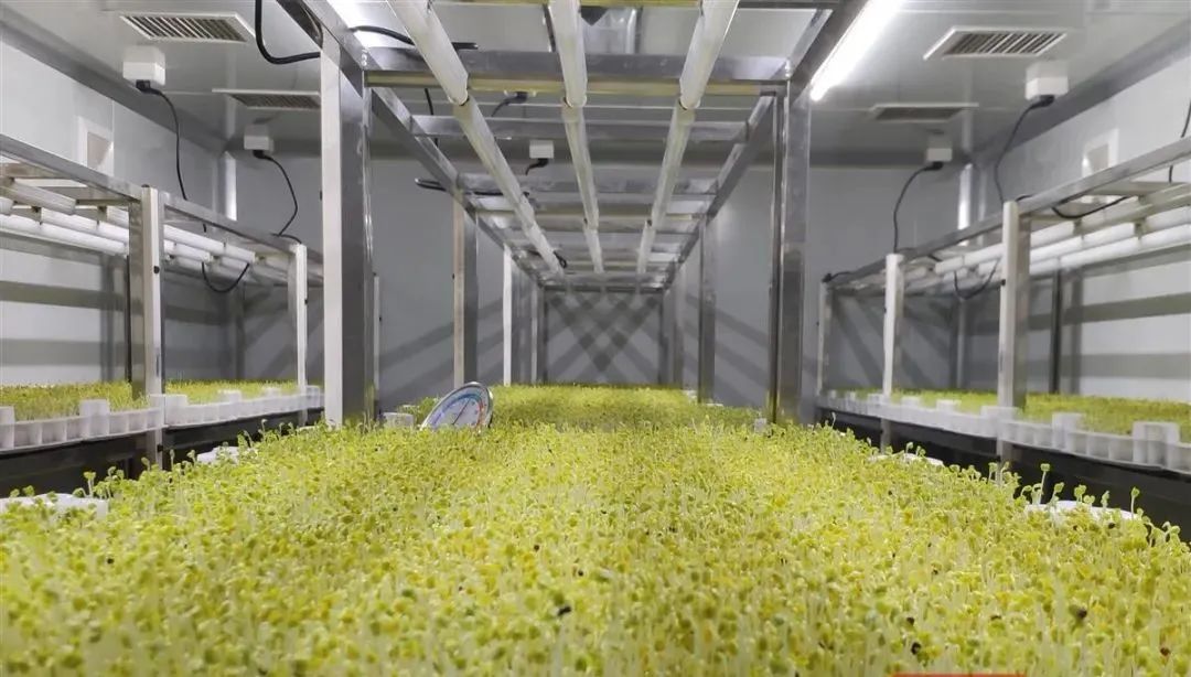 中国农科院富硒产品（中农硒科富硒研究院）-硒宝网