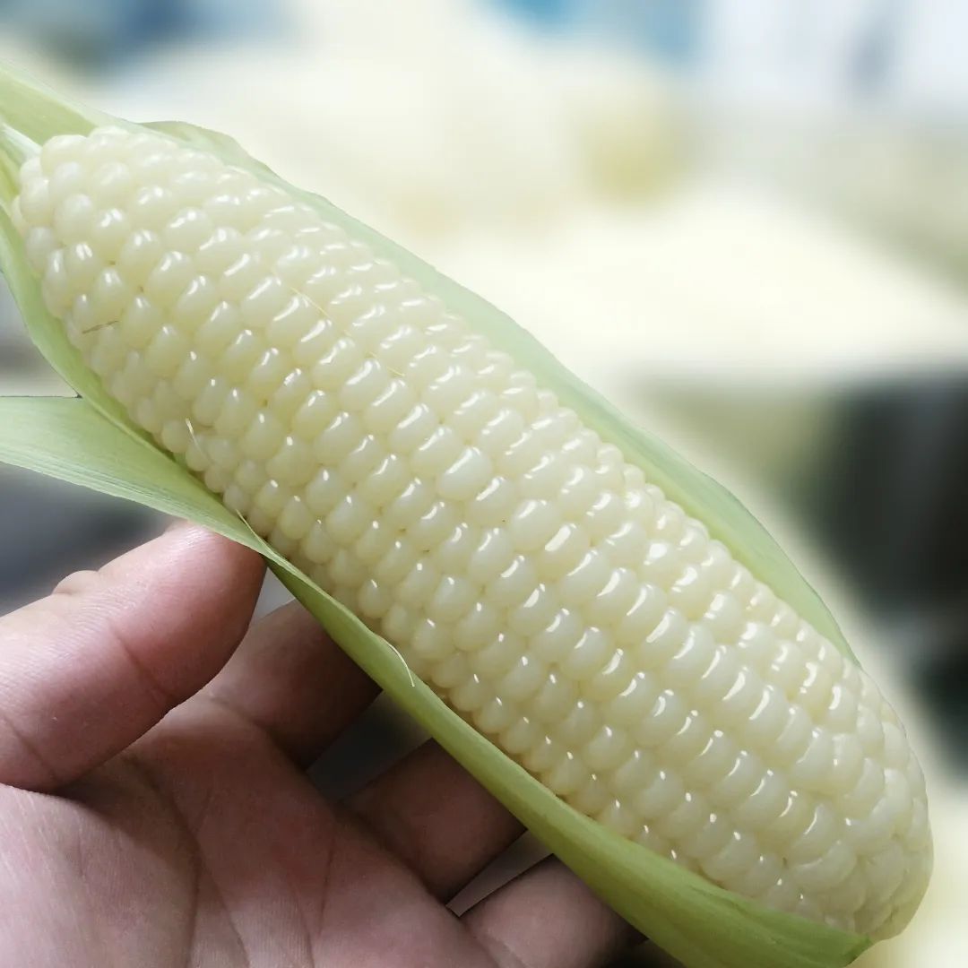 富硒产品的调查报告(富硒产品的调查和分析)-硒宝网