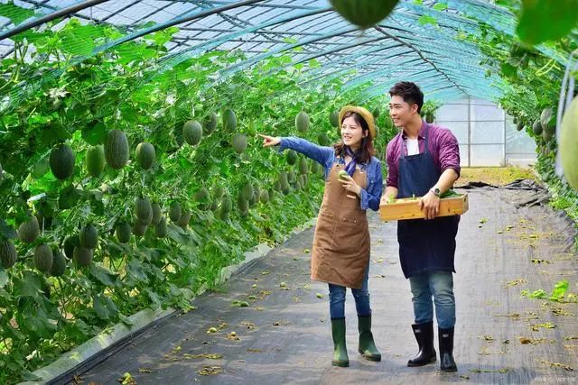 富硒产品的调查报告(富硒产品的调查和分析)-硒宝网