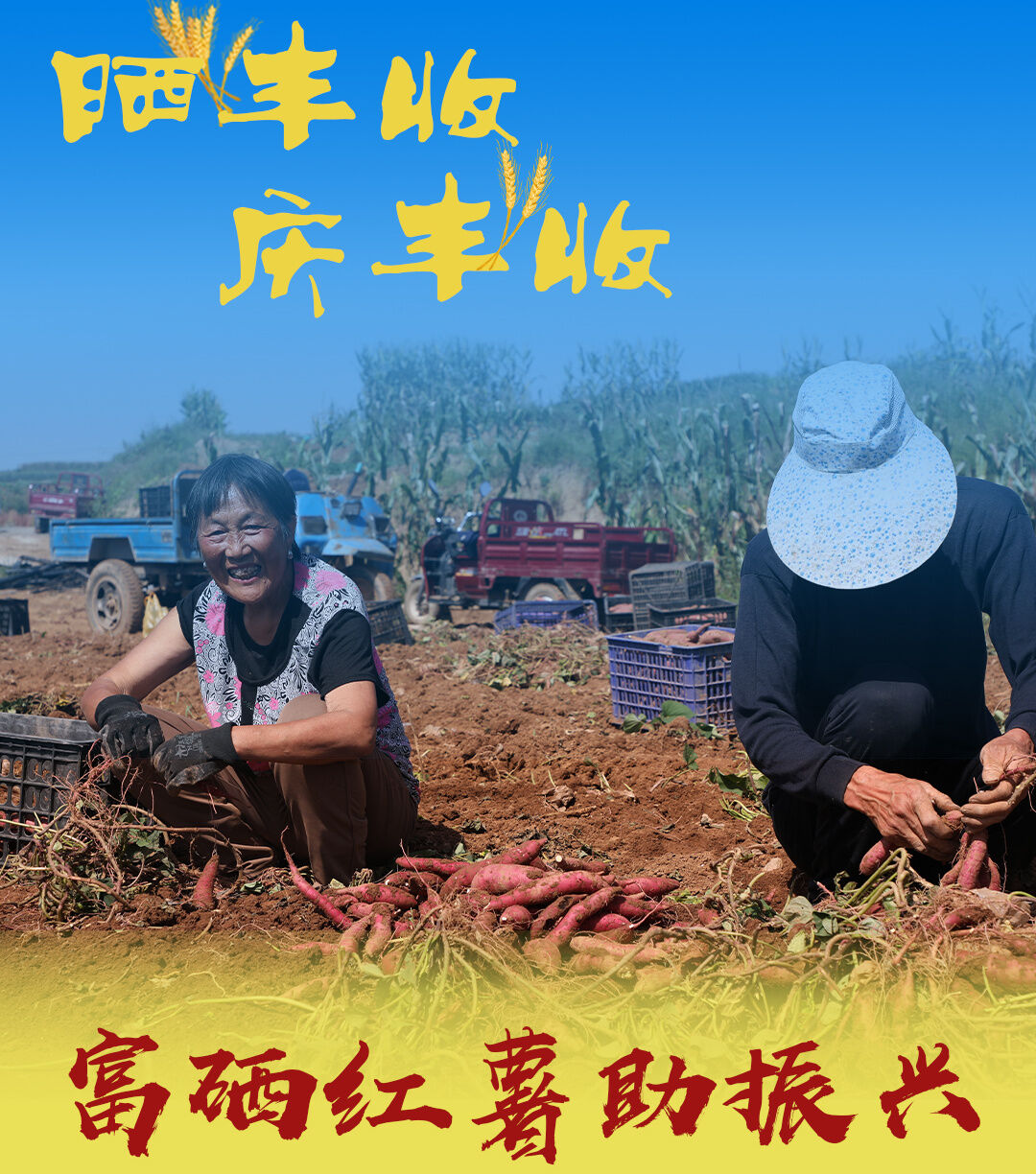 富硒产品的调查报告(富硒产品的调查和分析)-硒宝网