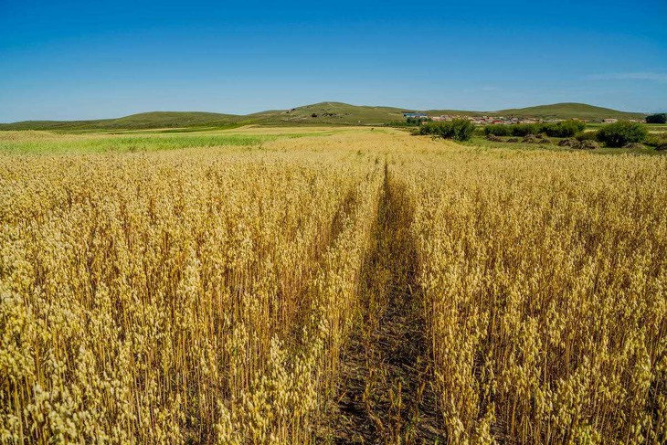 震藩高原富硒农产品（震藩高原富硒农产品）-硒宝网