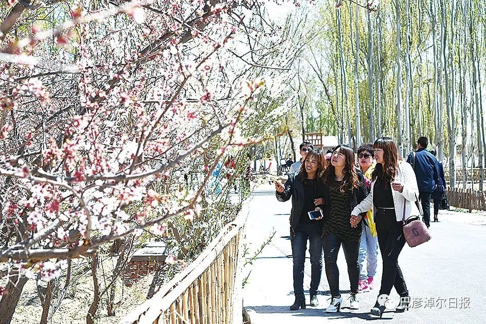 中蒙富硒产品多少钱（沂蒙富硒王多少钱一箱）-硒宝网