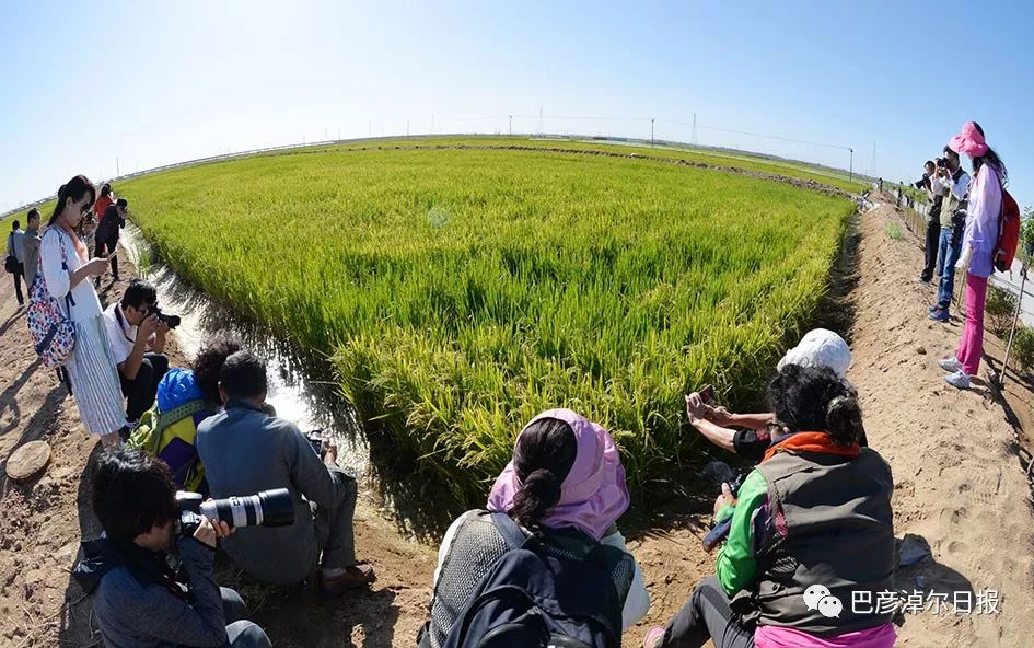 中蒙富硒产品多少钱（沂蒙富硒王多少钱一箱）-硒宝网