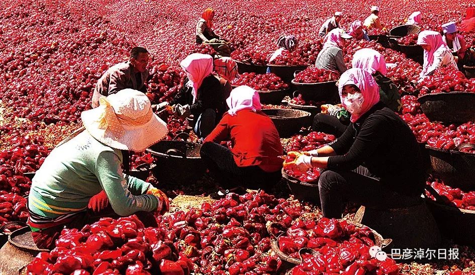 中蒙富硒产品多少钱（沂蒙富硒王多少钱一箱）-硒宝网