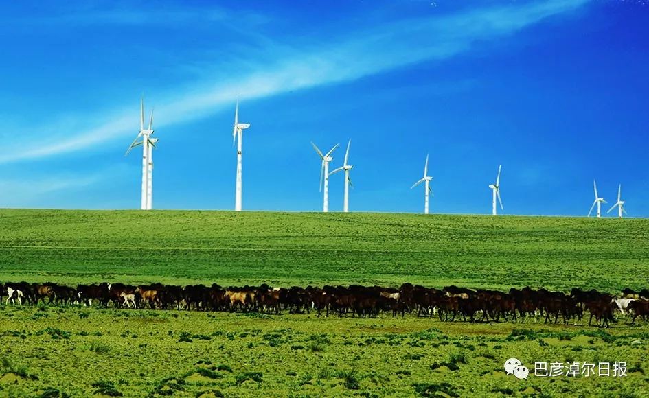 中蒙富硒产品多少钱（沂蒙富硒王多少钱一箱）-硒宝网