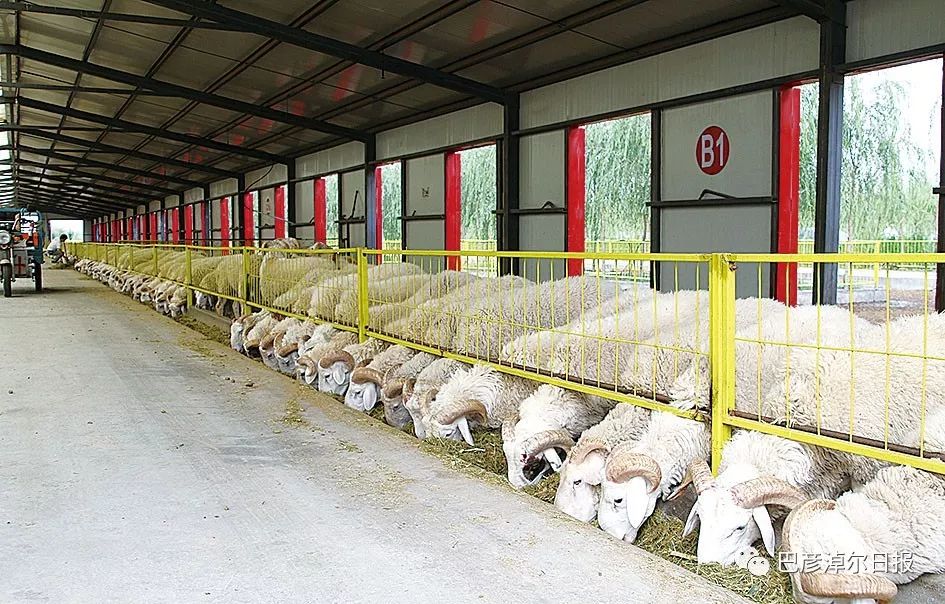 中蒙富硒产品多少钱（沂蒙富硒王多少钱一箱）-硒宝网