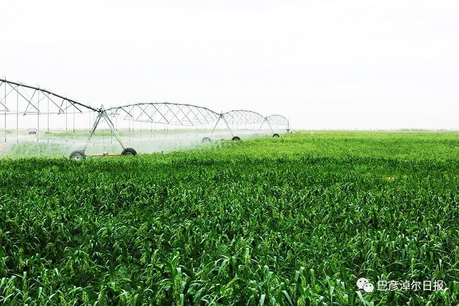中蒙富硒产品多少钱（沂蒙富硒王多少钱一箱）-硒宝网