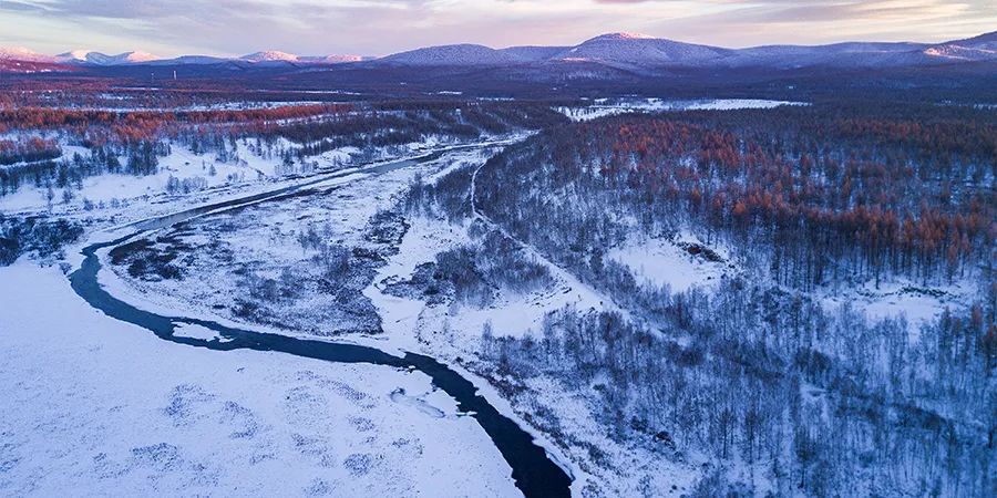 中蒙富硒产品多少钱(富硒多少钱一瓶)-硒宝网