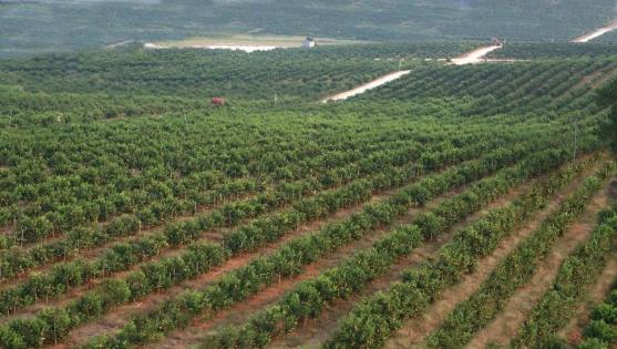 富硒农产品认证证书(富硒农产品认证过程)-硒宝网