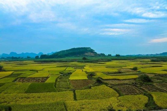 富硒农产品认证证书(富硒农产品认证过程)-硒宝网