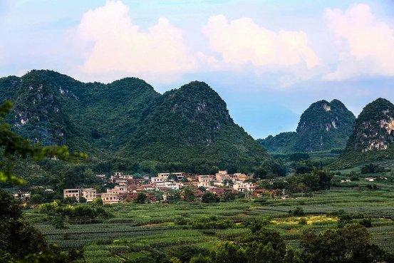 富硒农产品认证证书(富硒农产品认证过程)-硒宝网