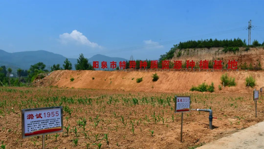 山西阳泉市富硒产品（山西富硒地区）-硒宝网