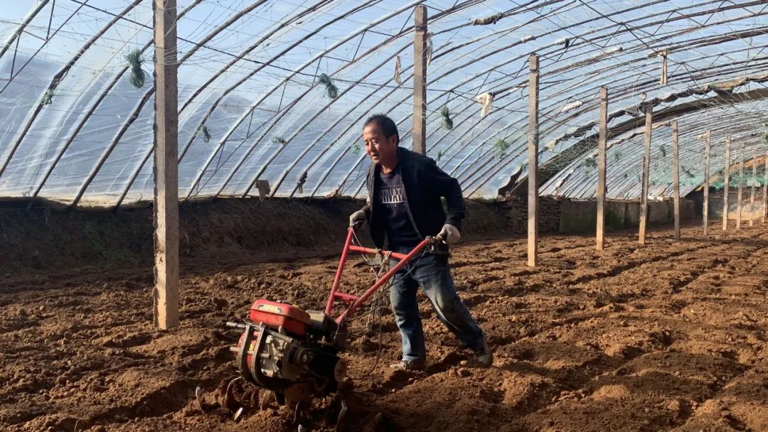 山西阳泉市富硒产品（山西富硒地区）-硒宝网