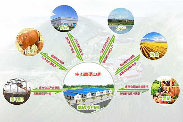 富硒农产品热度渐高(富硒农产品热度渐高)-硒宝网