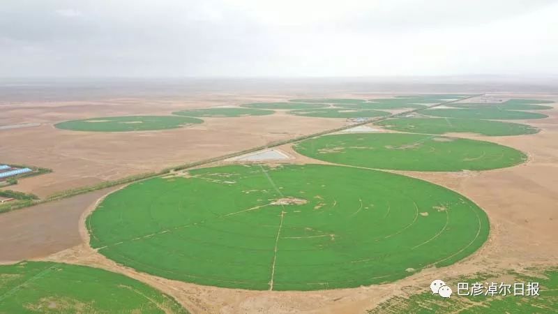 中蒙富硒产品多少钱(富硒产品价格)-硒宝网