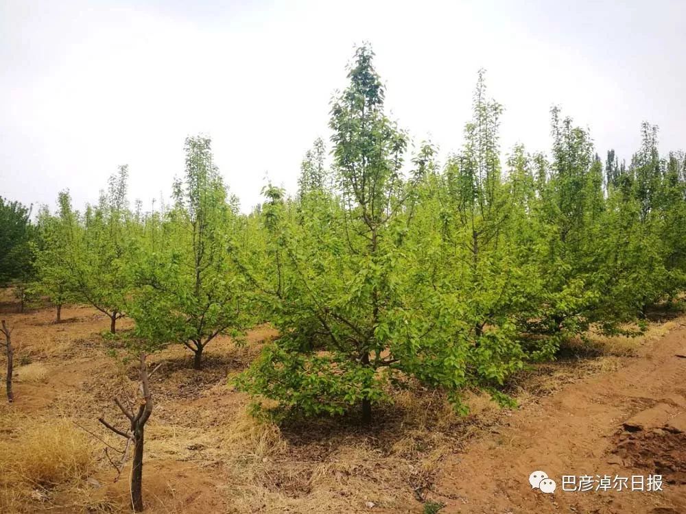 中蒙富硒产品多少钱(富硒产品价格)-硒宝网