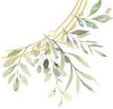 中蒙富硒产品多少钱(富硒产品价格)-硒宝网