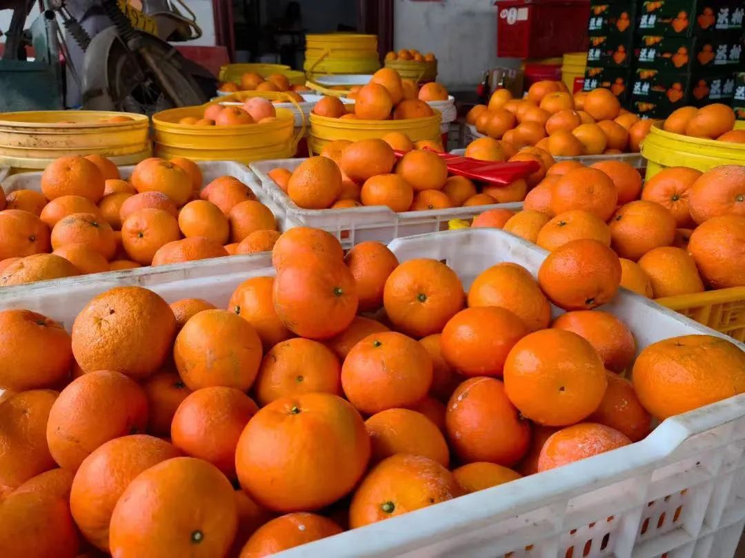 富硒农产品研究进展(富硒农产品国内外研究现状)-硒宝网