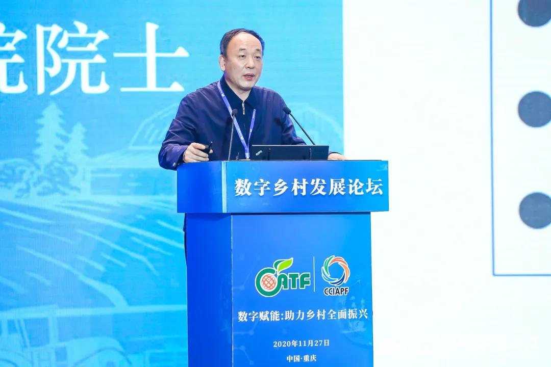 江津富硒农产品推介（推介农江津富硒产品的文案）-硒宝网