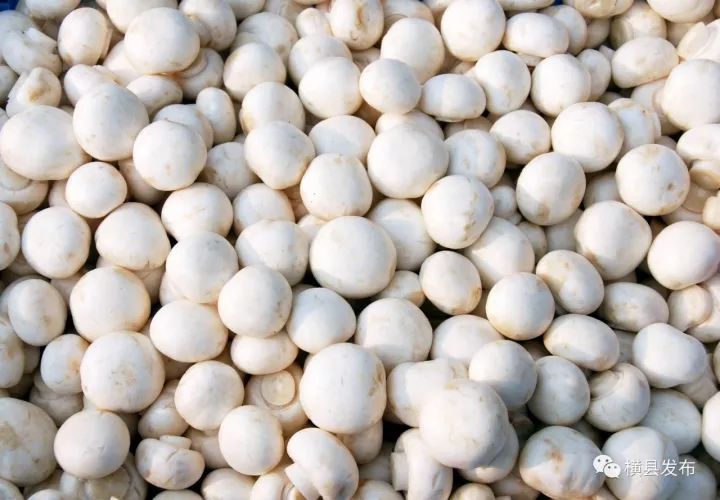 富硒农产品品牌名称(富硒农产品介绍)-硒宝网