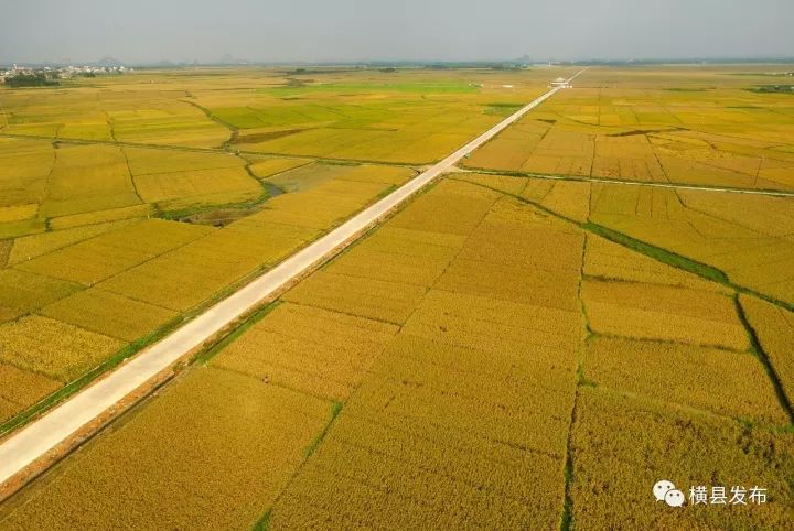 富硒农产品品牌名称(富硒农产品介绍)-硒宝网