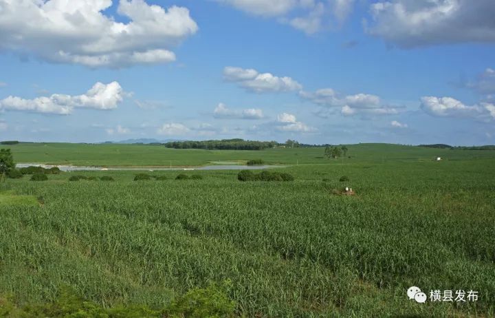 富硒农产品品牌名称(富硒农产品介绍)-硒宝网