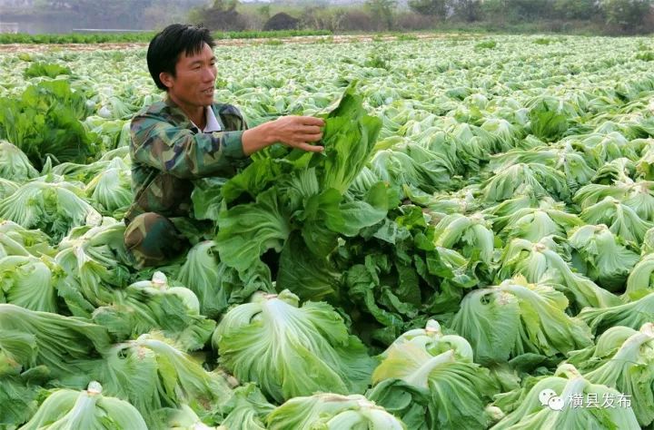 富硒农产品品牌名称(富硒农产品介绍)-硒宝网