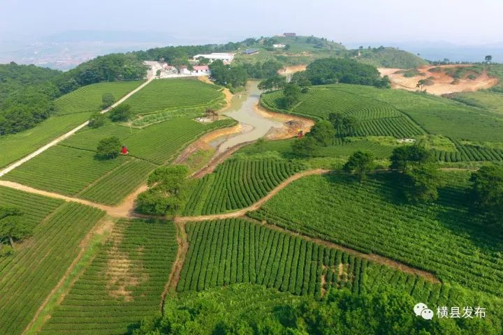 富硒农产品品牌名称(富硒农产品介绍)-硒宝网