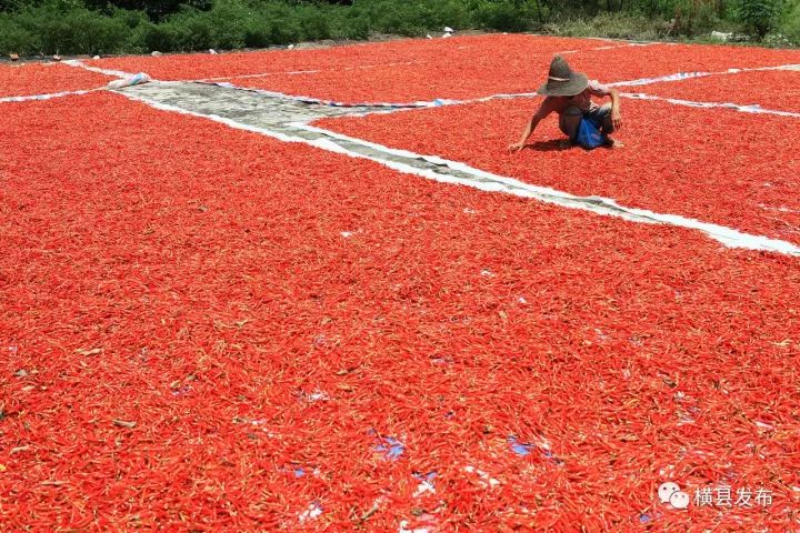 富硒农产品品牌名称(富硒农产品介绍)-硒宝网