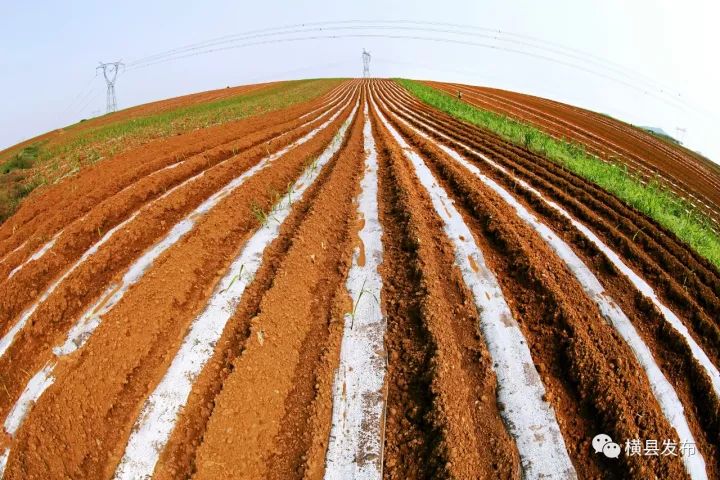 富硒农产品品牌名称(富硒农产品介绍)-硒宝网