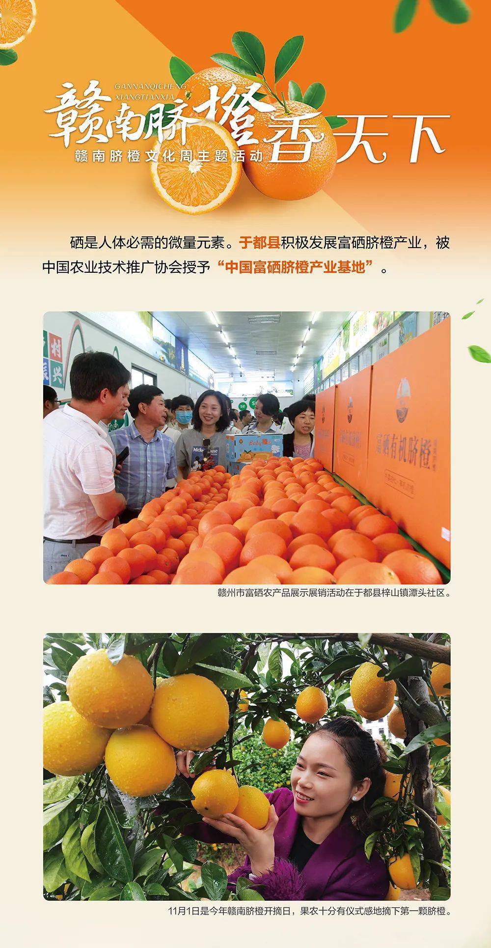 贵港市富硒产品名单（贵港市富硒农产品）-硒宝网