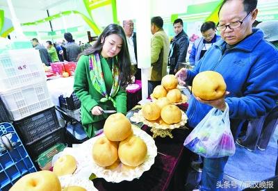 安康富硒农产品价格（安康富硒征集揭晓）-硒宝网