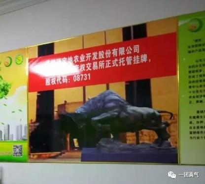 三旺富硒农产品集团（富硒三旺骗局）-硒宝网