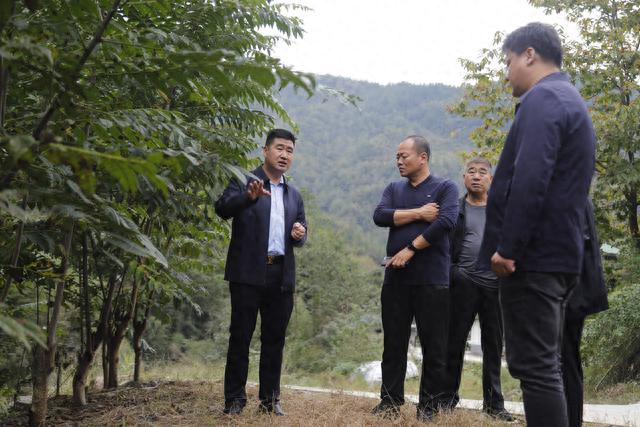 陕西省富硒产品认证（陕西认证省富硒产品是真的吗）-硒宝网